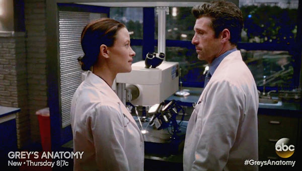 Grey's Anatomy Derek Cheated