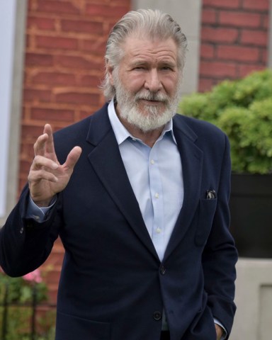 Harrison Ford attends the LA Premiere of "The Secret Life of Pets 2" at the Regency Village Theatre, in Los Angeles
LA Premiere of "The Secret Life of Pets 2", Los Angeles, USA - 02 Jun 2019