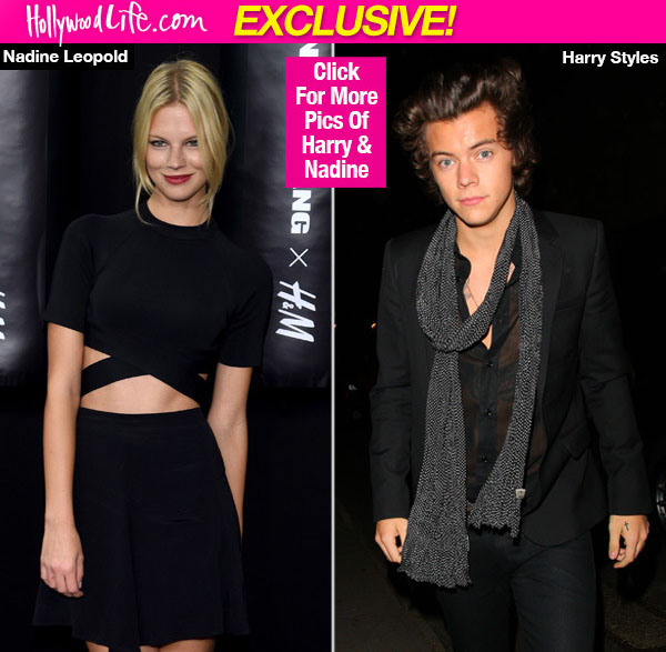 Harry Styles Nadine Leopold Split