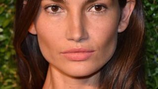 Lily Aldridge Celebrity Profile