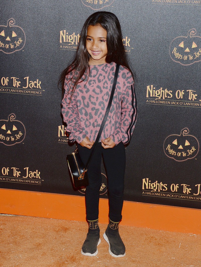 27+ Chris Brown Daughter Pictures