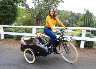 Sophia Bush, Maggie
Sophia Bush out and about, Los Angeles, USA - 27 Oct 2020
Los Angeles, USA - 27 October 2020: Sophia Bush takes her pup Maggie for a spin on her new Bluejay electric bicycle