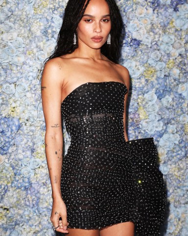 Zoe Kravitz
New York Red Carpet Premiere for Season 2 of HBO's "BIG LITTLE LIES", USA - 29 May 2019