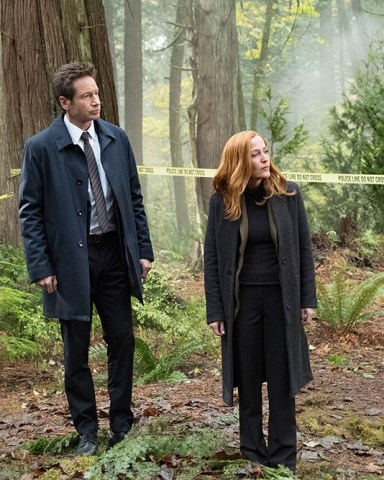 Editorial use only. No book cover usage.
Mandatory Credit: Photo by 20th Century Fox/Kobal/Shutterstock (9635485b)
David Duchovny, Gillian Anderson
"The X-Files" (Season 11) TV Series - 2018