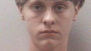 dylan roof bio