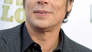 benicio del toro celebrity profile