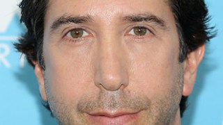 David Schwimmer Celebrity Profile