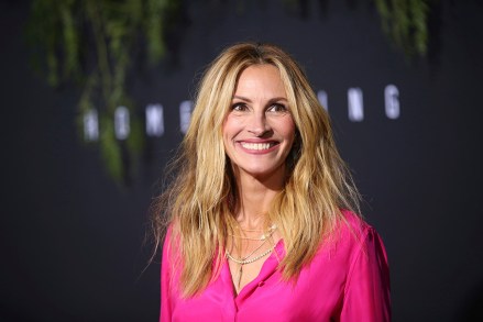 Julia Roberts arrives at the Los Angeles premiere of Amazon Studios' "Homecoming"in Los Angeles, CALA Premiere of "Homecoming"Los Angeles, USA - Oct 24, 2018