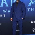 Avatar: The Way of Water U.S. Premiere