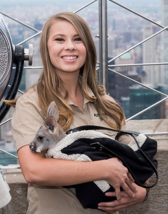 Bindi Irwin visits the Empire State Building's 86th floor observatory to promote their new Animal Planet TV show. "Crick!  it's erwin"In New York, Terri, Bindi and Robert Irwin visit the Empire State Building, New York, USA - September 20, 2018.