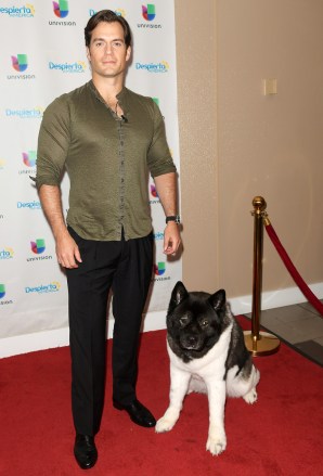 Henry Cavill ve köpek 'Despierta America' TV şovu, Miami, ABD - 27 Temmuz 2018