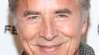 Don Johnson Celebrity Profile