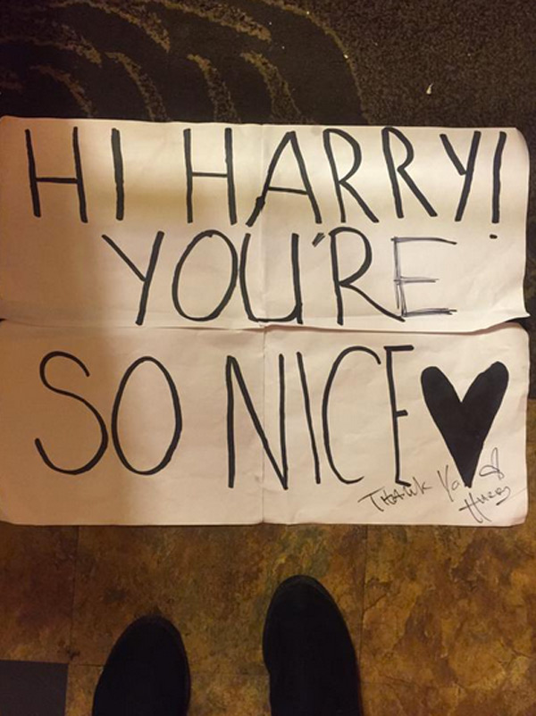 Video Harry Styles Corrects Fans Grammar On Sign During 1d Concert Hollywood Life