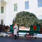 Melania Trump White House Christmas Tree 2020 AP