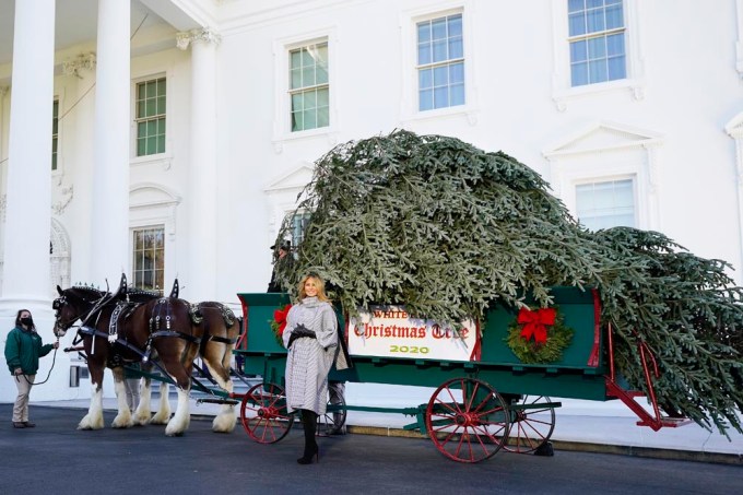 Melania Trump Poses with White House Christmas Tree