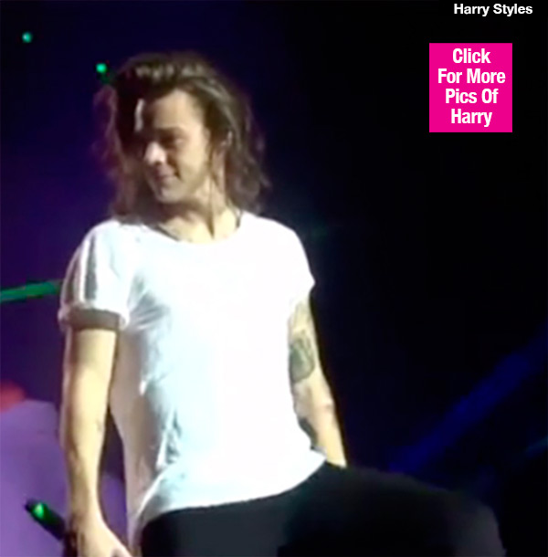 Harry Styles Dildo