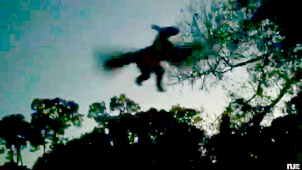 Jersey Devil Sighting