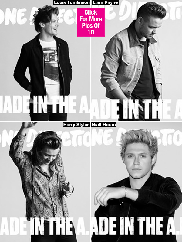 made in the am album individual covers