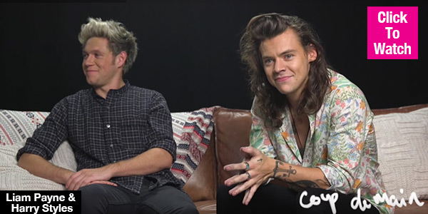 Harry Styles Not Upset Zayn Malik Left