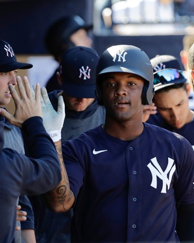 New York Yankees' Josh Stowers celebrates with teammates after scoring on a single by New York Yankees' Kyle Holder during the sixth inning of a spring training baseball game against the Detroit Tigers, in Tampa, Fla
Tigers Yankees Baseball, Tampa, USA - 29 Feb 2020