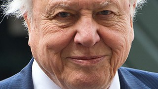 David Attenborough Celebrity Profile