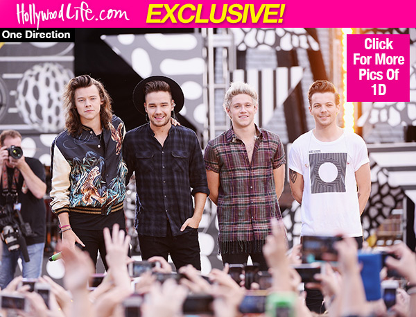 One Direction Goodbye Last Concert