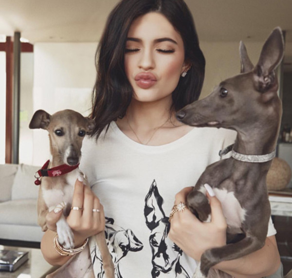 Kylie Jenner: Animal Control’s Investigating Her — Is She Neglecting ...