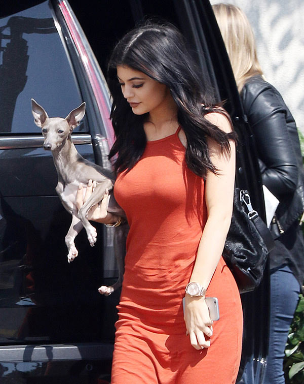 Kylie Jenner: Dog Neglect Investigation Has Her Heartbroken — They’re ...