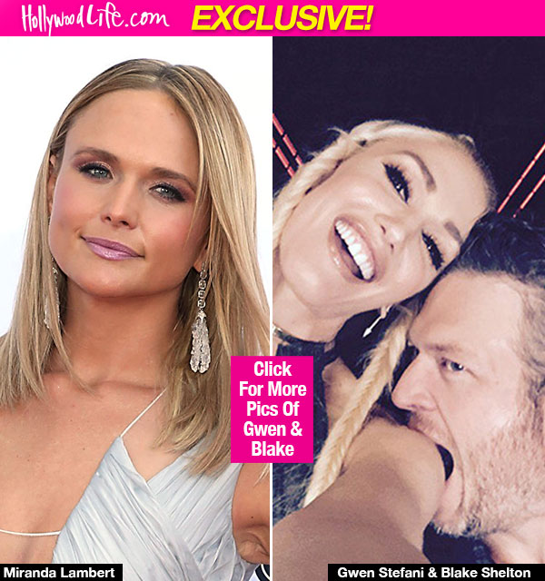 Blake Shelton Gwen Stefani Fake