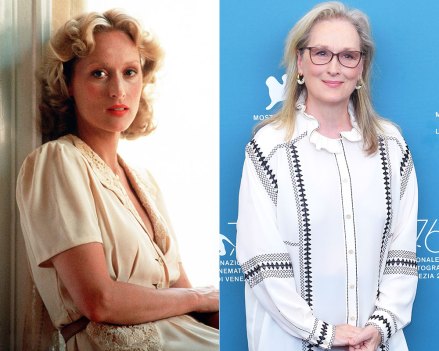 meryl streep then and now shutterstock intro slide Meryl Streep’s Kids: Meet Her 4 Incredible Children