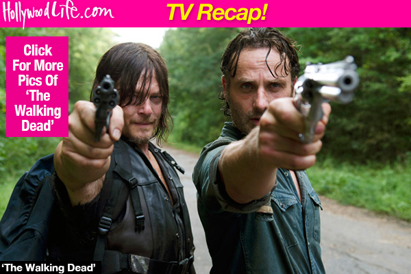 The Walking Dead Rick Michonne Sex