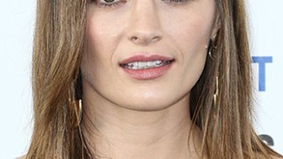 Stana Katic