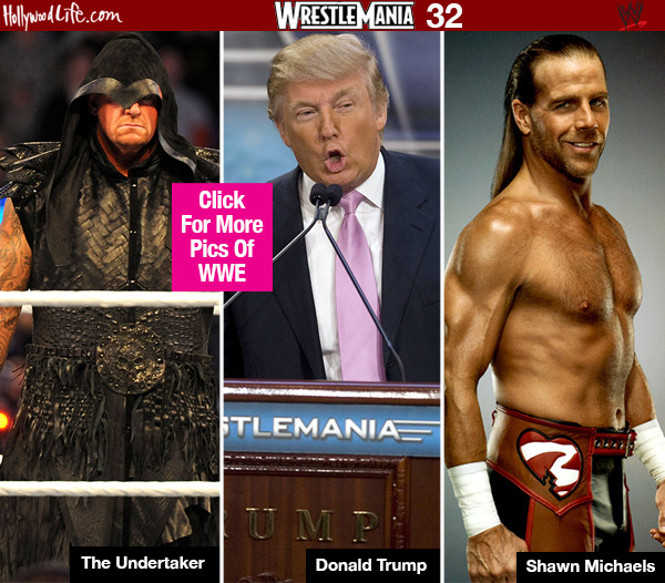 WrestleMania Fun Facts