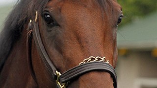 Nyquist Celebrity Profile