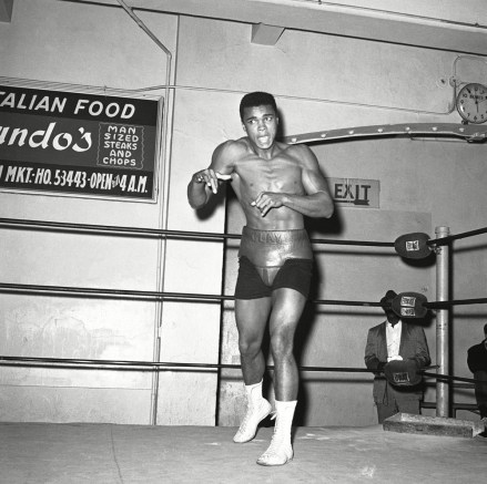 Muhammad Ali (Cassius Clay) the windy young heavyweight from Louisville, Ky., shadow boxes on in the final stages of his preparations to fight Archie Moore in the Los Angeles Sports Arena November 15. A superb physical specimen, the undefeated Clay says ?That old man will never catch me
Muhammad Ali, Los Angeles, USA