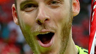 David de Gea Bio Pic
