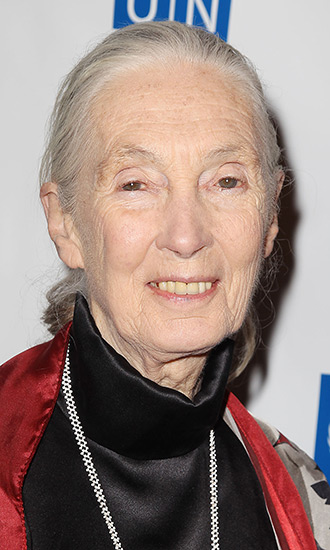 Jane Goodall Celebrity Profile