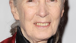 Jane Goodall Celebrity Profile