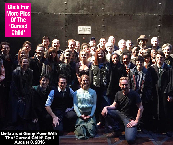 Harry Potter Reunion