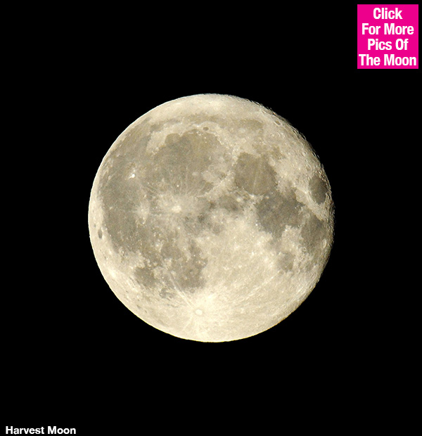 Harvest Moon Eclipse Live Stream