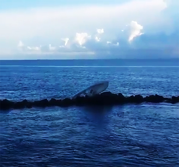 Chilling Final Video Of Jose Fernandez Death Scene