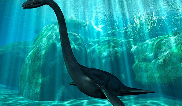 Loch Ness Monster New Photo
