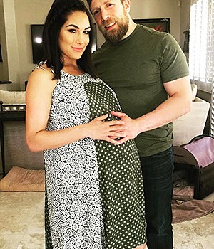 brie bella daniel bryan