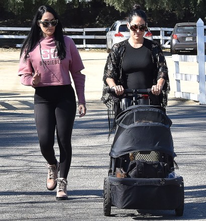 Nikki Bella and Brie BellaNikki and Brie Bella out and about, Studio City, Los Angeles, USA - 15 Feb 2020