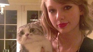 Taylor Swift Cat Meowing