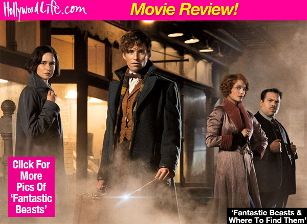 fantastic beasts review