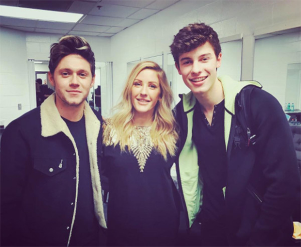 PIC Niall Horan & Ellie Goulding's Reunion: See Cute ...