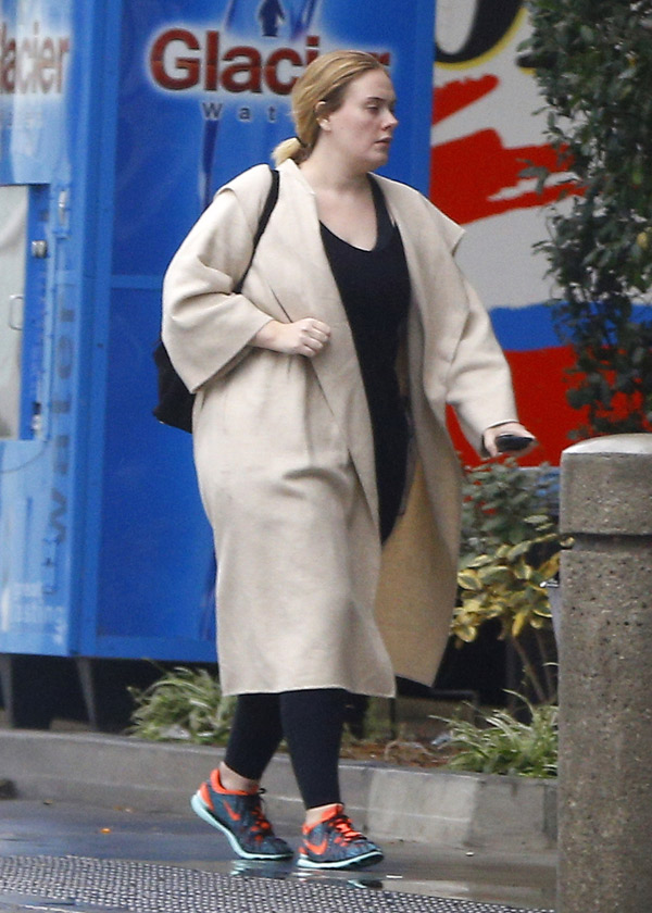 Adele Pregnant