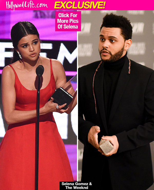 The Weeknd Fell For Selena Gomez