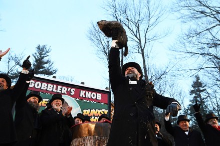 Groundhog Club handler A.J. Dereume holds Punxsutawney Phil, the upwind  prognosticating groundhog, during the 136th solemnisation  of Groundhog Day connected  Gobbler's Knob successful  Punxsutawney, Pa., . Phil's handlers said that the groundhog has forecast six much  weeks of winter
Groundhog Day, Punxsutawney, United States - 02 Feb 2022